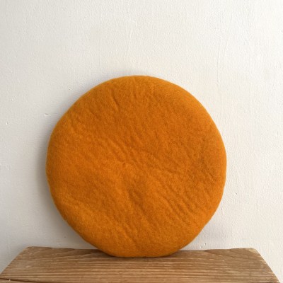 fridafilzdickorange6