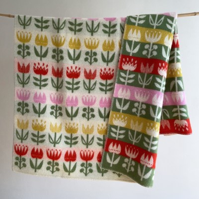 klippantulipsbunt2