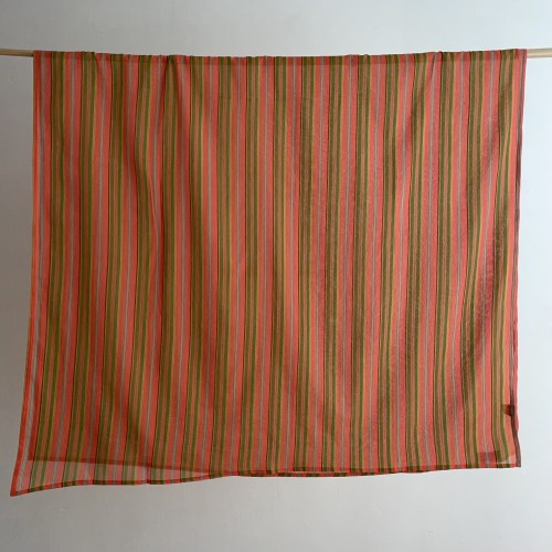 lestouristesstoleorangestripes