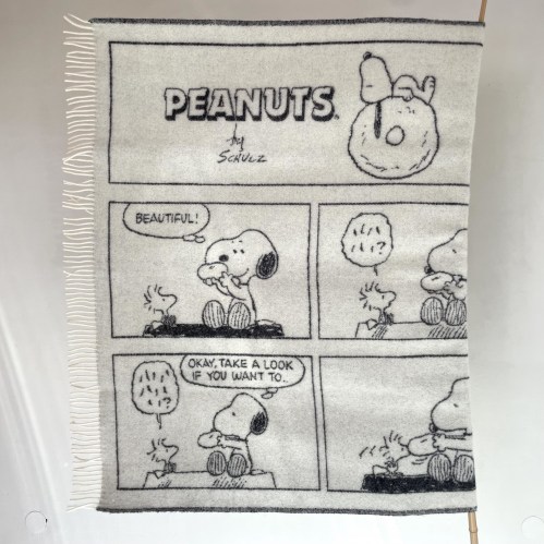 maisondeuxsnoopydonu3