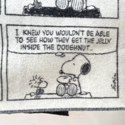 maisondeuxsnoopydonutd