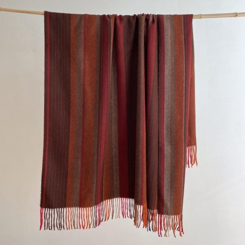 steinbeckalpacareds2